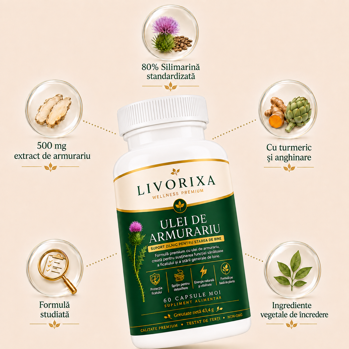 Livorixa
